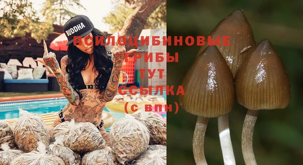 молекула духа Горно-Алтайск