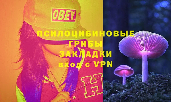 a pvp Горнозаводск