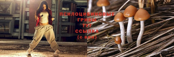 a pvp Горнозаводск