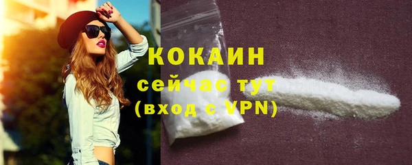 молекула духа Горно-Алтайск