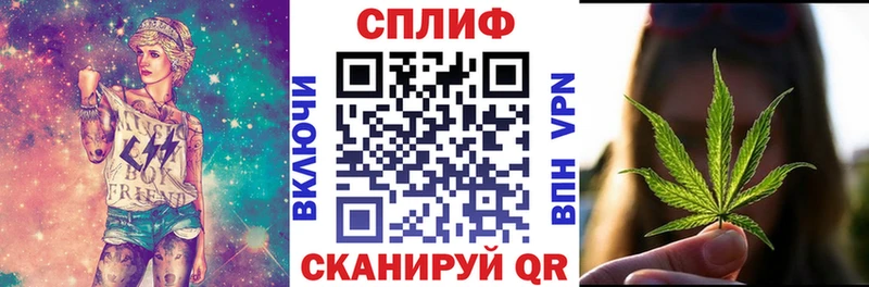 мега как зайти  Мценск  сайты даркнета официальный сайт  Канабис сатива 